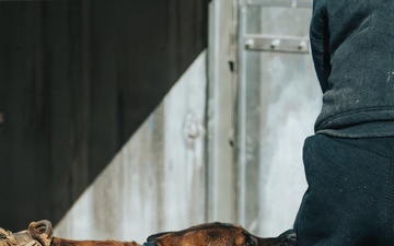 1st Special Forces Group (Airborne): Silent Eagle 2026 Week 1 and 2