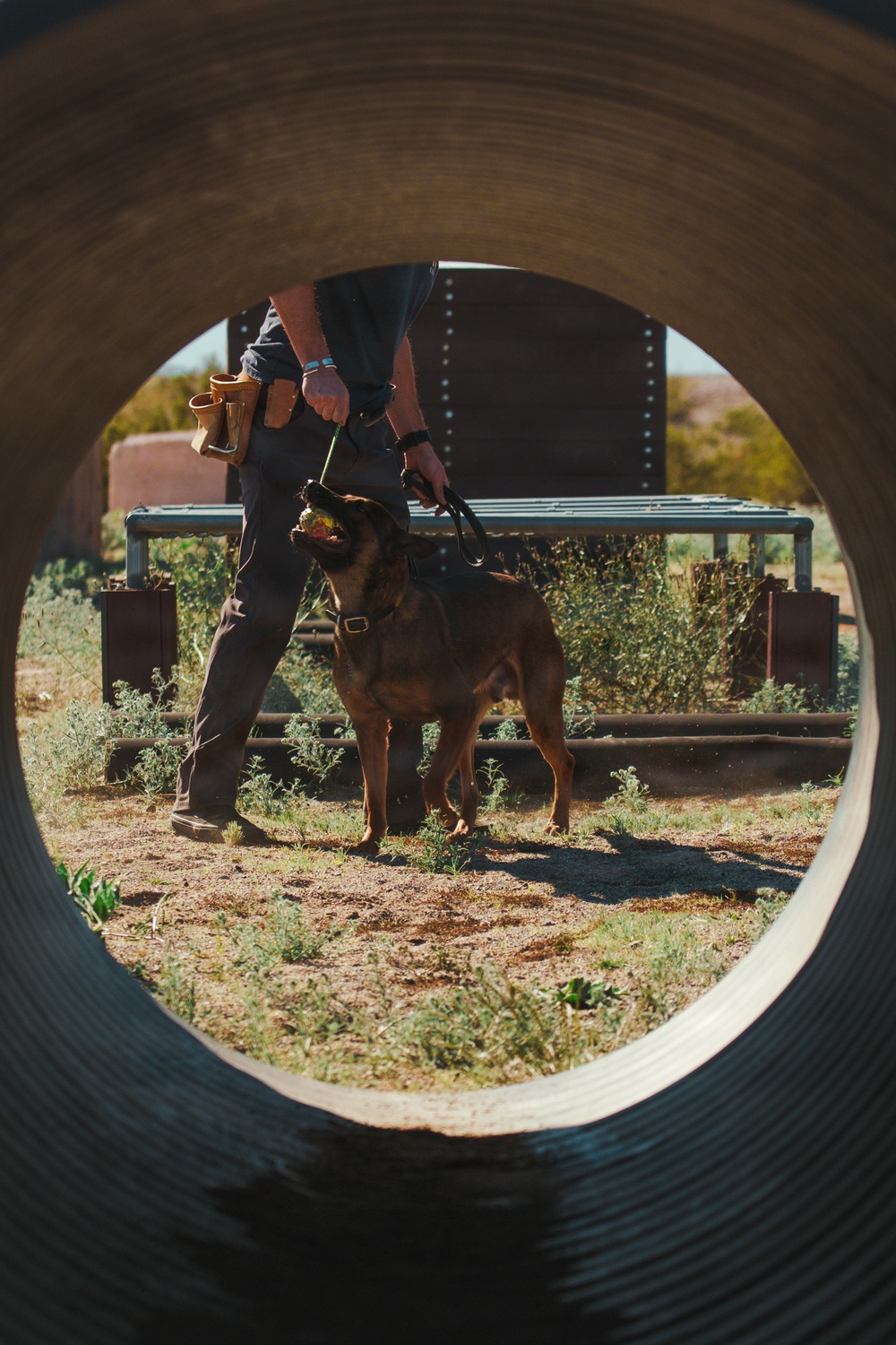 1st Special Forces Group (Airborne): Silent Eagle 2026 Week 1 and 2