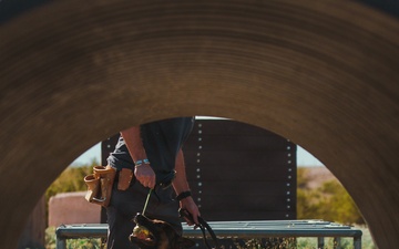 1st Special Forces Group (Airborne): Silent Eagle 2026 Week 1 and 2