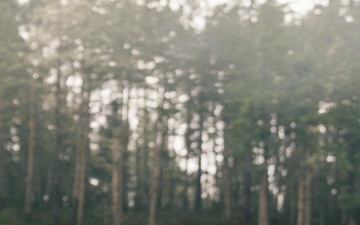 1SFG(A) Green Berets conduct combat marksmanship training