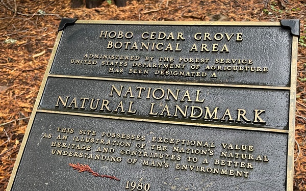 Hobo Cedar Grove on the Idaho Panhandle National Forests