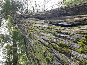 Interview with Chief Warrant Officer 2 Joshua Eaton, 411th Engineer Company, Cedar Rapids, Iowa, on supporting Fort McCoy troop projects