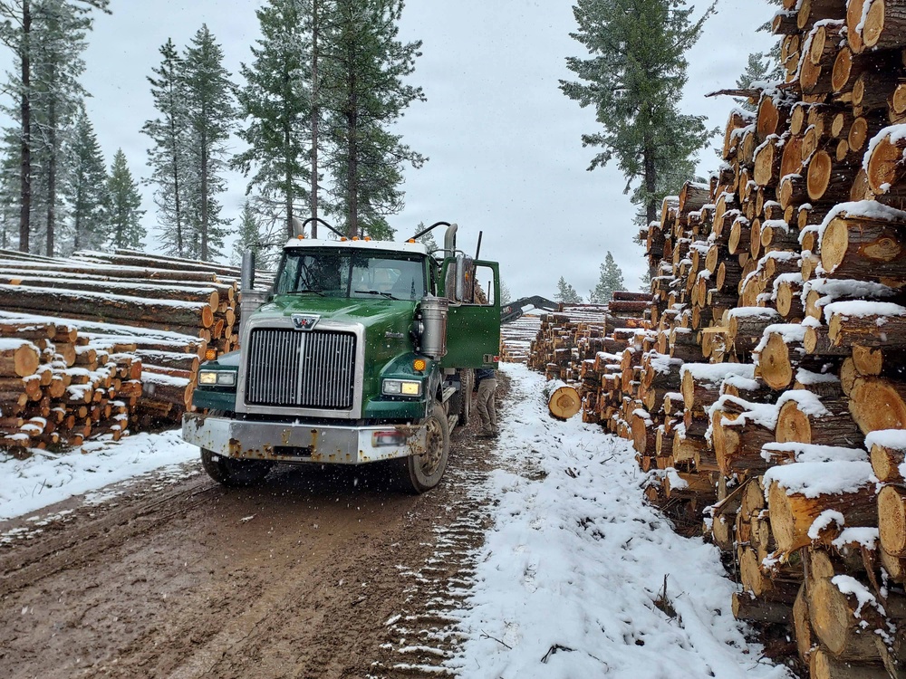 Timber harvest on the Idaho Panhandle National Forests