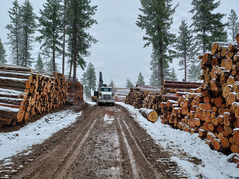 Timber harvest on the Idaho Panhandle National Forests