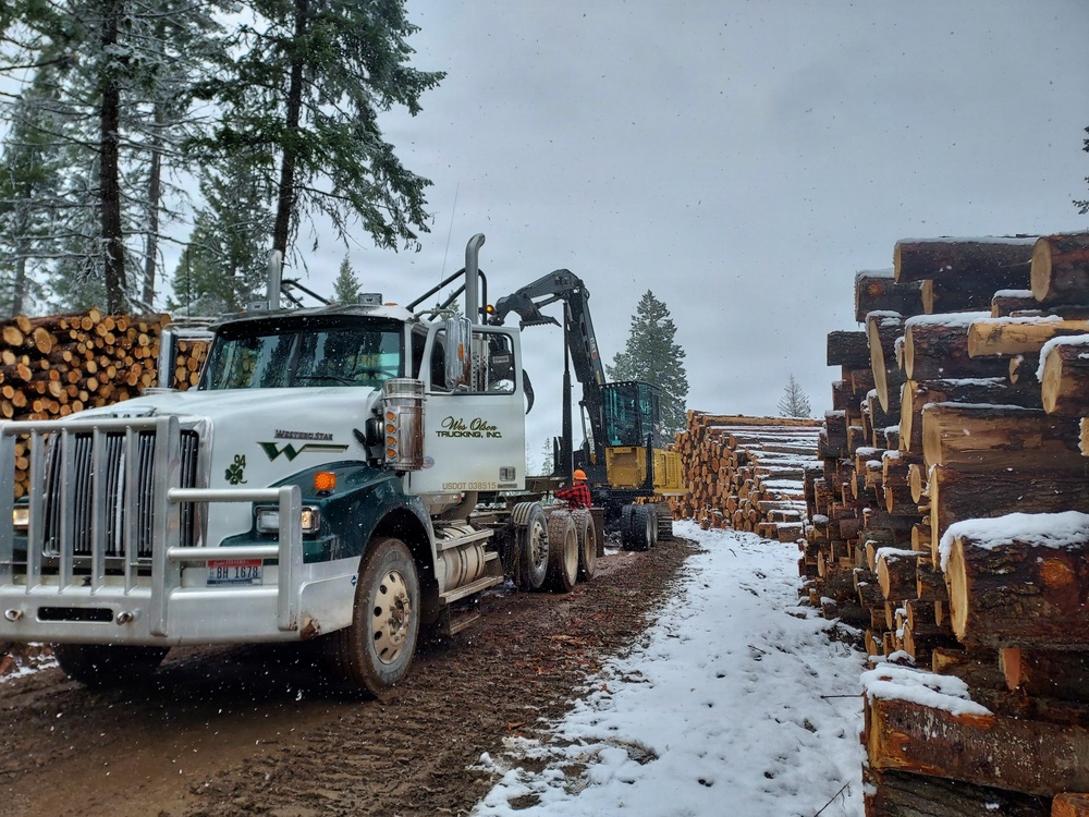 Timber harvest on the Idaho Panhandle National Forests