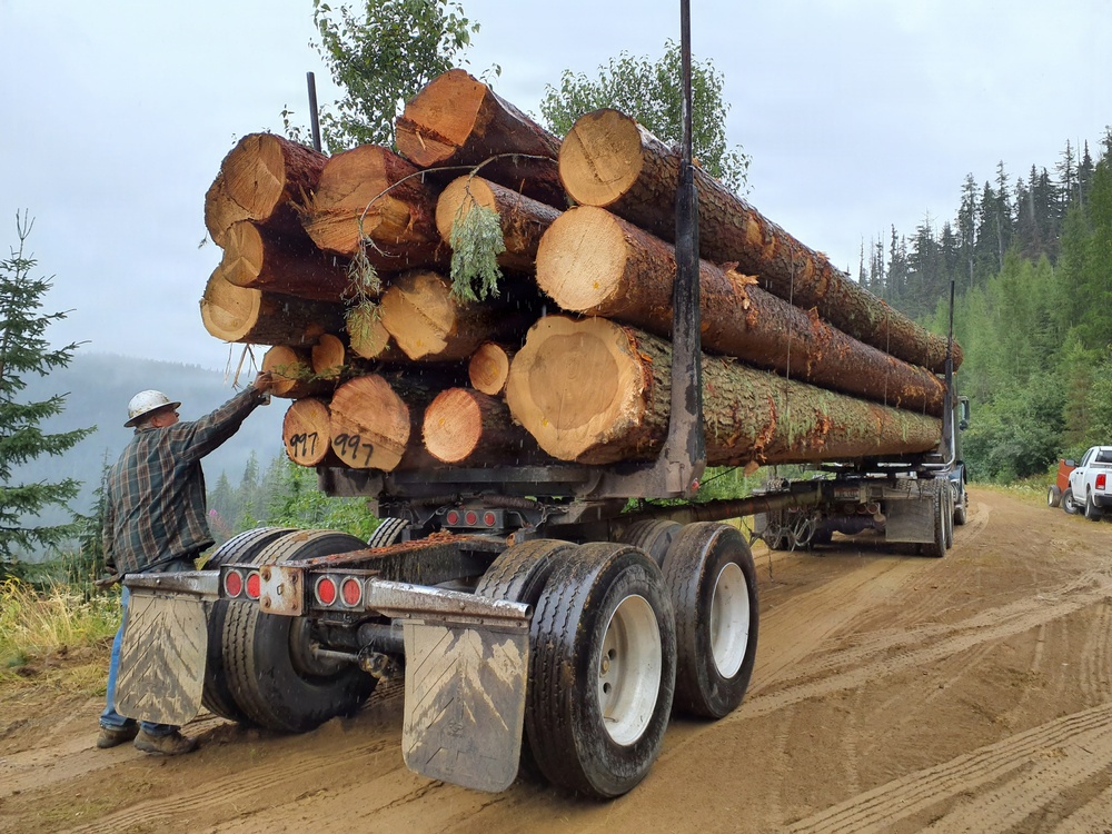 Timber harvest on the Idaho Panhandle National Forests