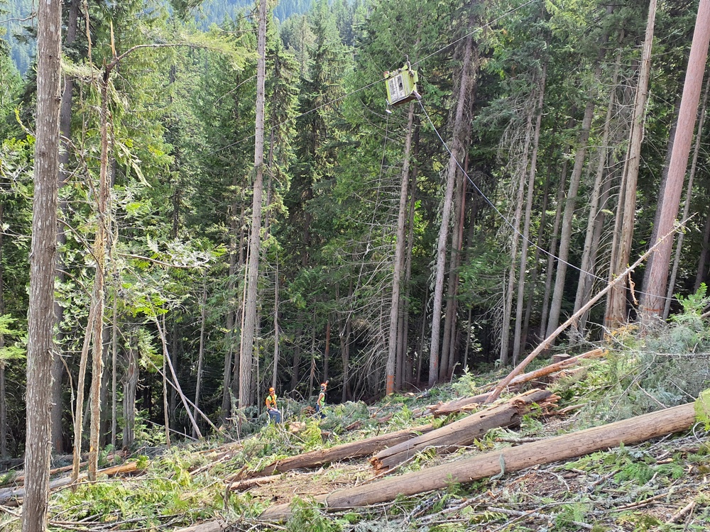 Timber harvest on the Idaho Panhandle National Forests