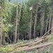 Timber harvest on the Idaho Panhandle National Forests