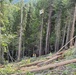 Timber harvest on the Idaho Panhandle National Forests