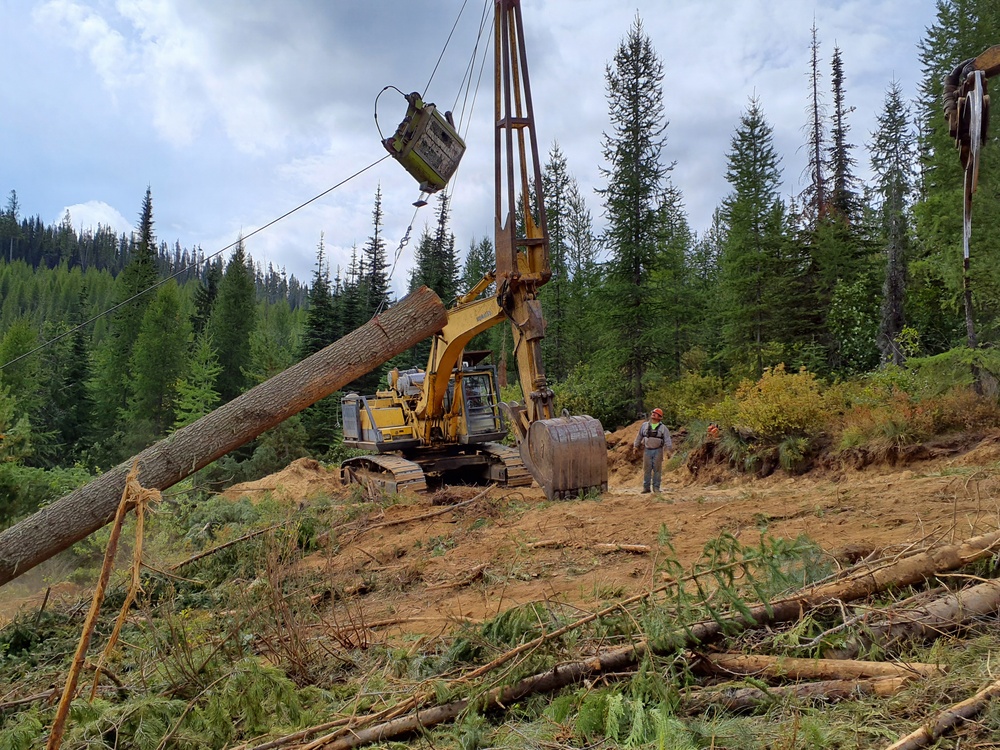 Timber harvest on the Idaho Panhandle National Forests