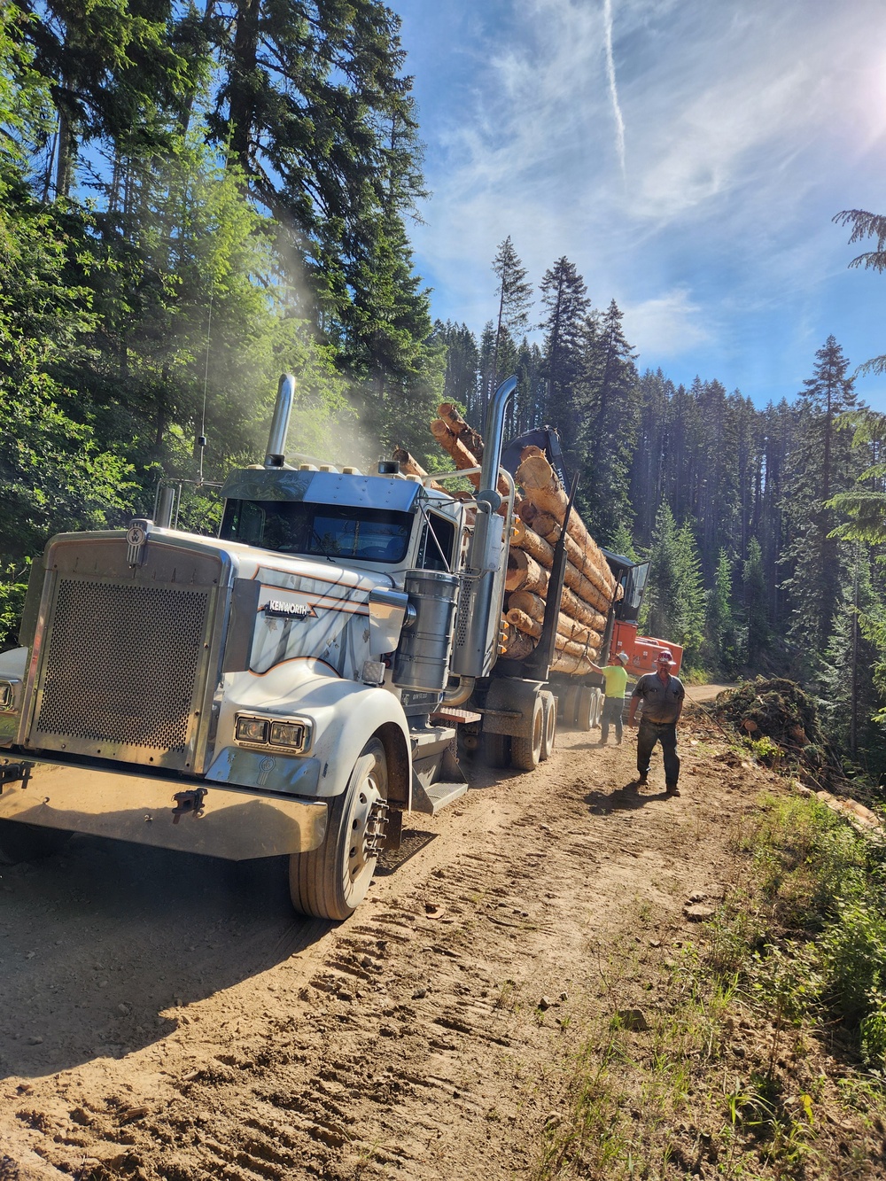 Timber harvest on the Idaho Panhandle National Forests