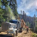 Timber harvest on the Idaho Panhandle National Forests