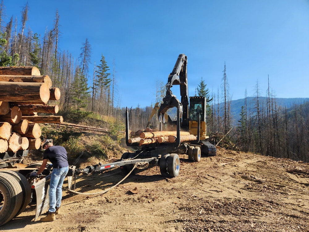 Timber harvest on the Idaho Panhandle National Forests