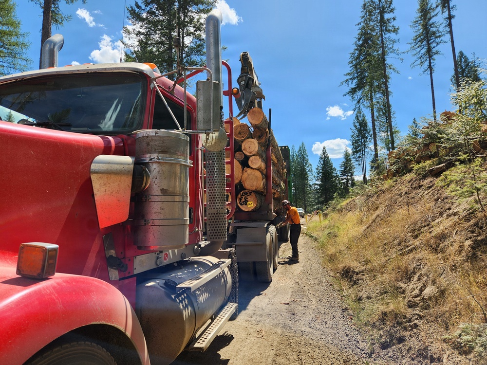 Timber harvest on the Idaho Panhandle National Forests