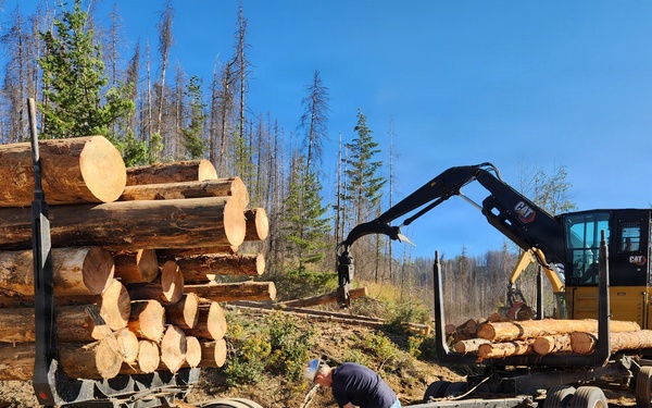 Timber harvest on the Idaho Panhandle National Forests