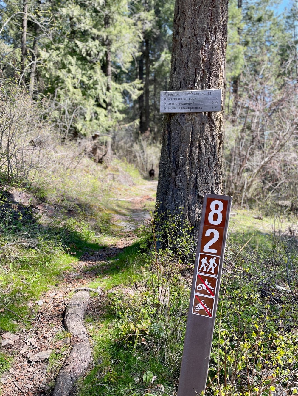 Green Bay Campground on the Idaho Panhandle National Forests