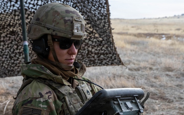 Ivy Sting 4: Live-Fire Exercise