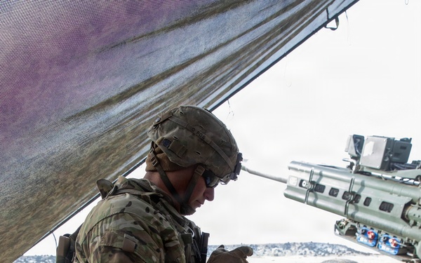 Ivy Sting 4: Live-Fire Exercise