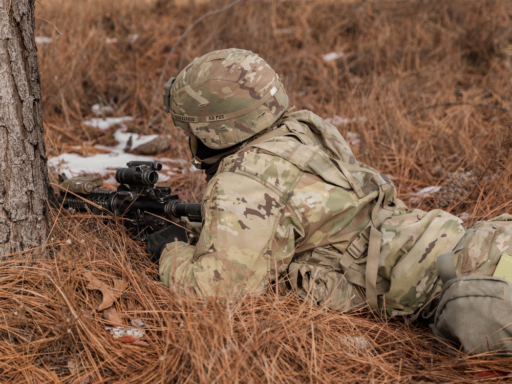 Panther Avalanche Refuel and Resupply