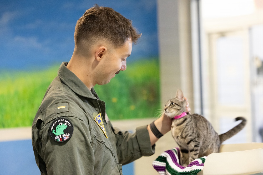 U.S. Navy Student Pilots Volunteer At Animal Shelter In South Texas For RGV Navy Week