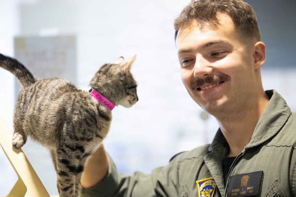 U.S. Navy Student Pilots Volunteer At Animal Shelter In South Texas For RGV Navy Week