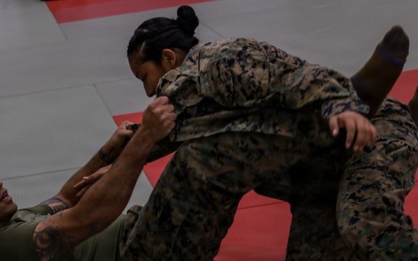 III Marine Expeditionary Force Support Battalion conducts Marine Corps Martial Arts Program training