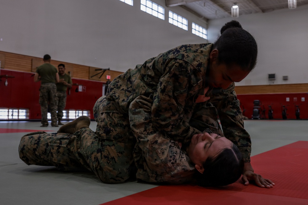 III Marine Expeditionary Force Support Battalion conducts Marine Corps Martial Arts Program training