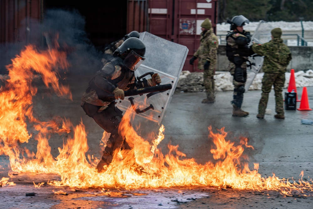 Kosovo Force 36 Fire Phobia