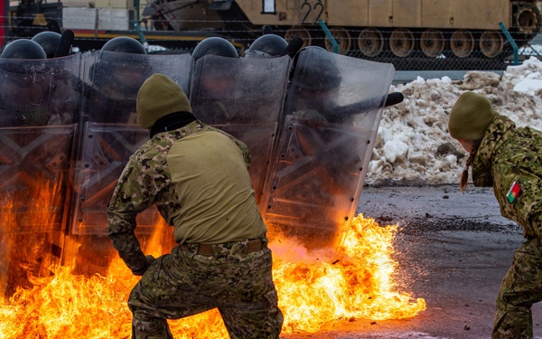 Kosovo Force 36 Fire Phobia