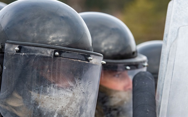 Kosovo Force 36 Fire Phobia