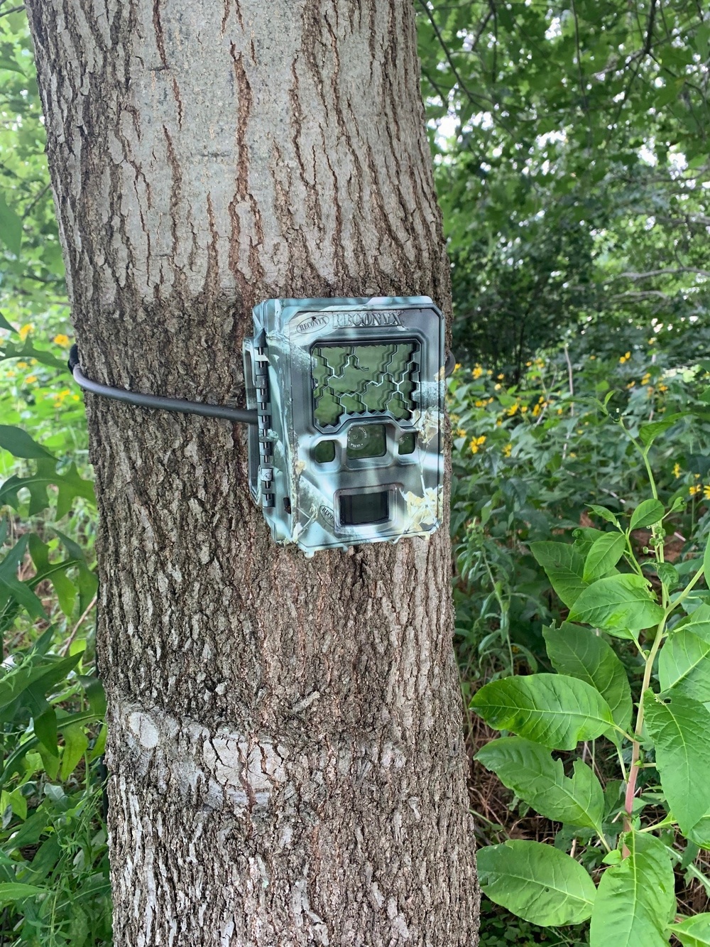 Unauthorized cameras prohibited in all Fort Knox hunting/training areas