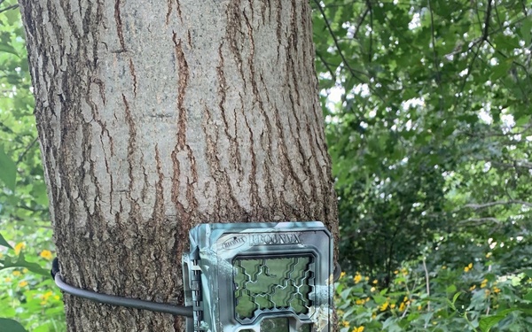 Unauthorized cameras prohibited in all Fort Knox hunting/training areas