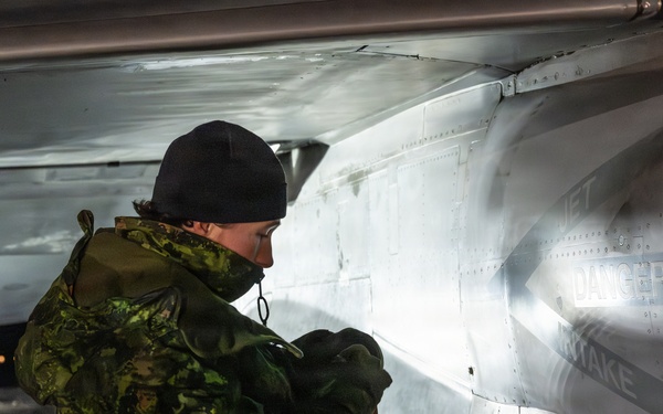 Member of the Air Task Force