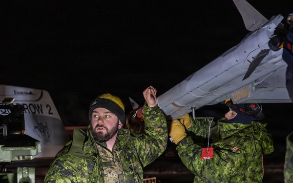 Member of the Air Task Force