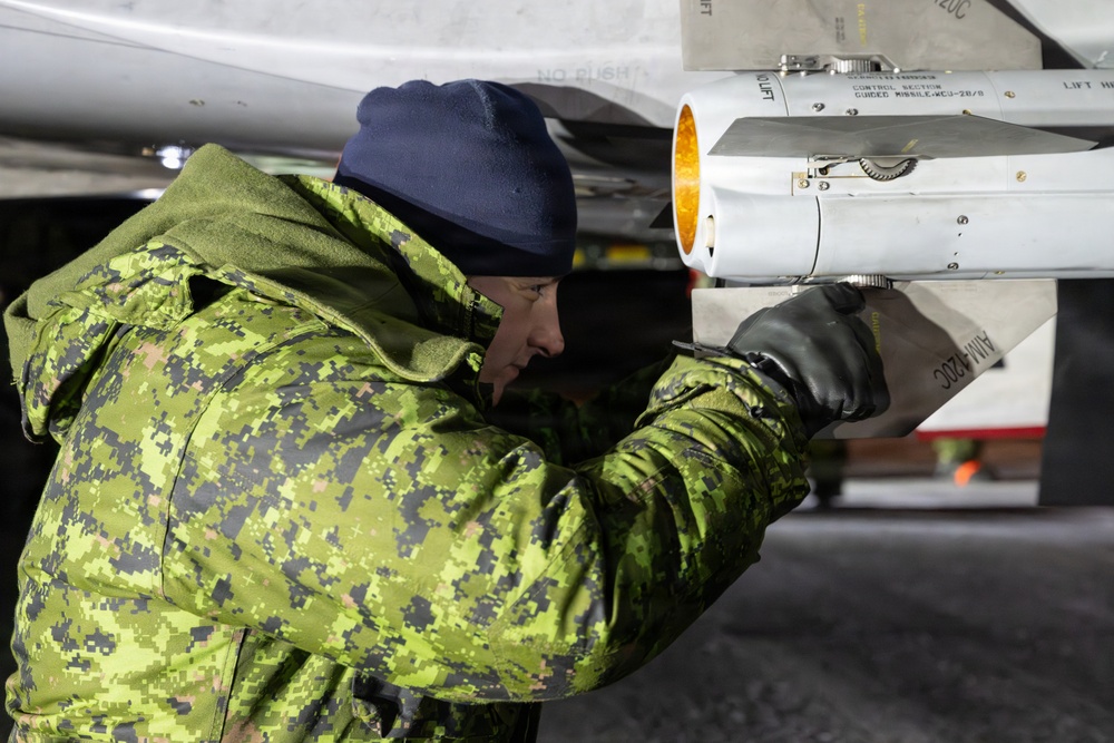 Member of the Air Task Force