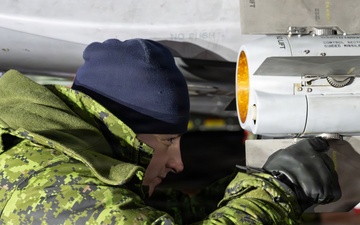 Member of the Air Task Force