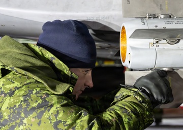 Member of the Air Task Force