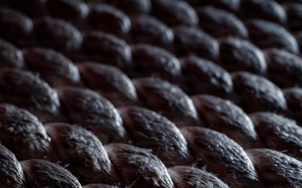 USS Theodore Roosevelt Indian Island Arrival