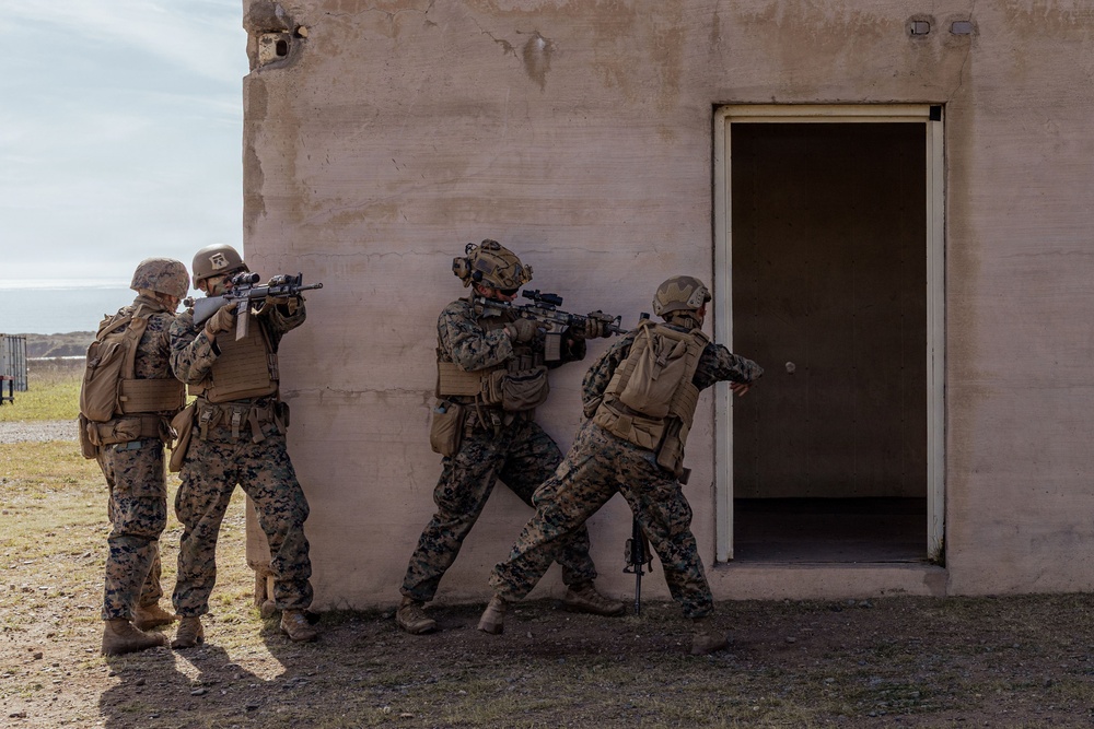 1st Intelligence Battalion conducts MOUT training