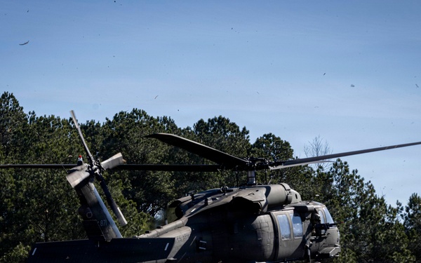 101st conducts Operation Lethal Eagle 26.1