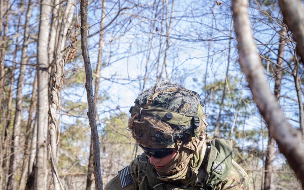 101st conducts Operation Lethal Eagle 26.1