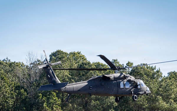 101st conducts Operation Lethal Eagle 26.1