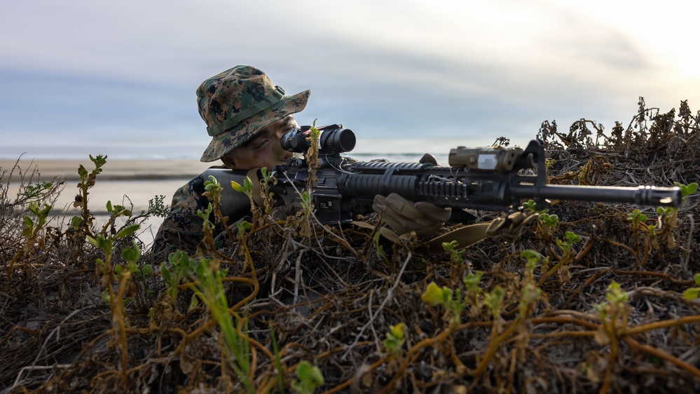 1st Intelligence Battalion conducts maritime sensing training