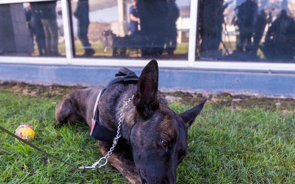 U.S. Coast Guard conducts media day supporting safety and security for Super Bowl LX at Sector San Francisco