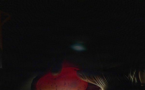 PMRF Conducts Annual Albatross Translocation