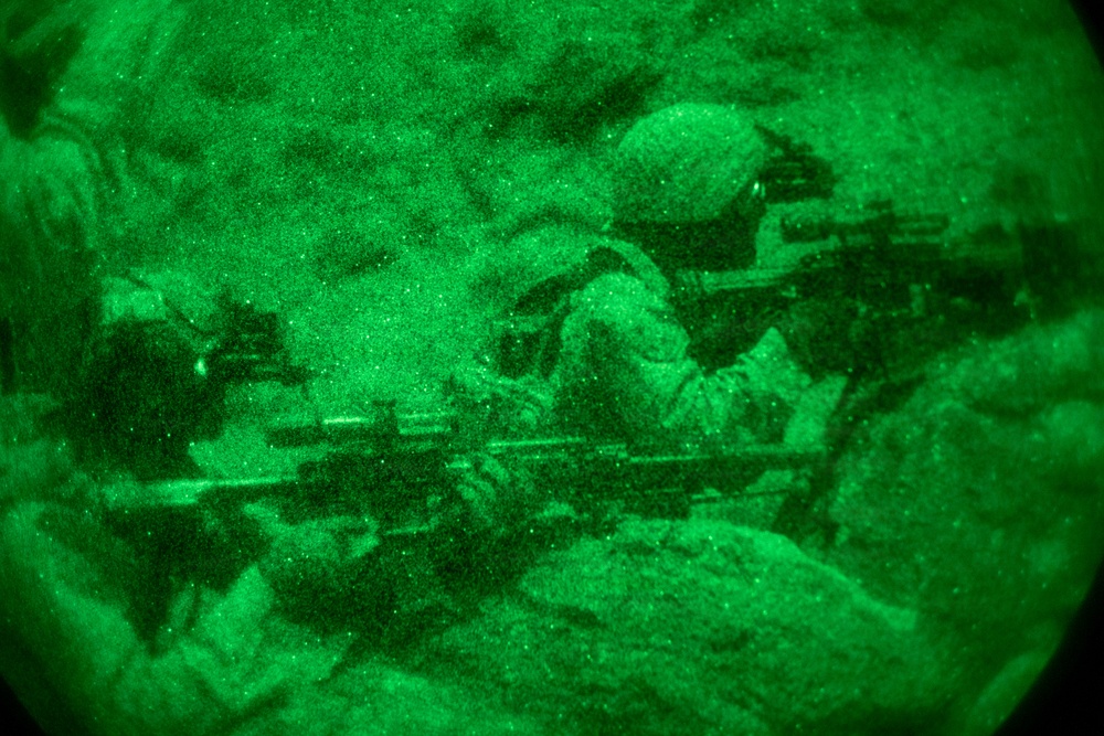 U.S. Marines with 3rd Bn, 7th Marines take part in night company attacks during SLTE