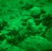 U.S. Marines with 3rd Bn, 7th Marines take part in night company attacks during SLTE