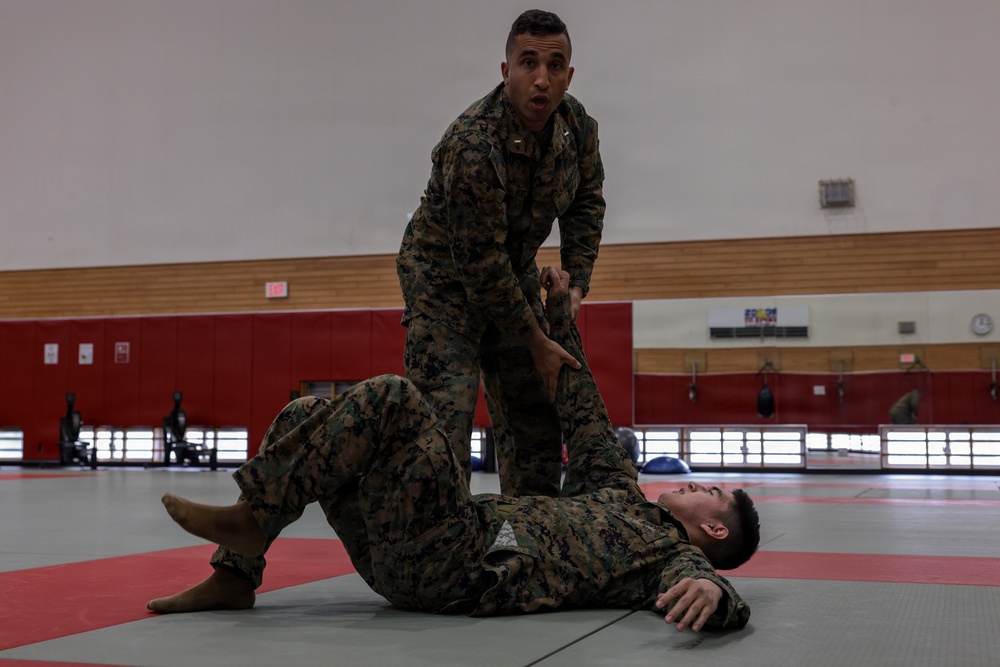 U.S. Marines conduct Marine Corps Martial Arts Program grey belt training