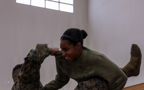 U.S. Marines conduct Marine Corps Martial Arts Program grey belt training