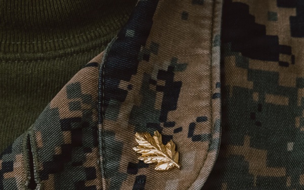 11th MEU Marines, Sailors Conduct Mass Casualty Exercise